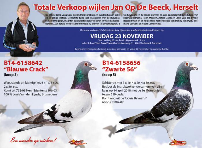 Total auction Jan Op De Beeck