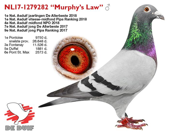NL17-1279282 “Murphy’s Law”
