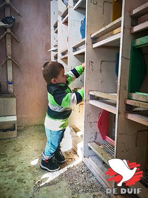 Kleine Bjorn van 1,5 gebruikt het hok ook als speeltuin.