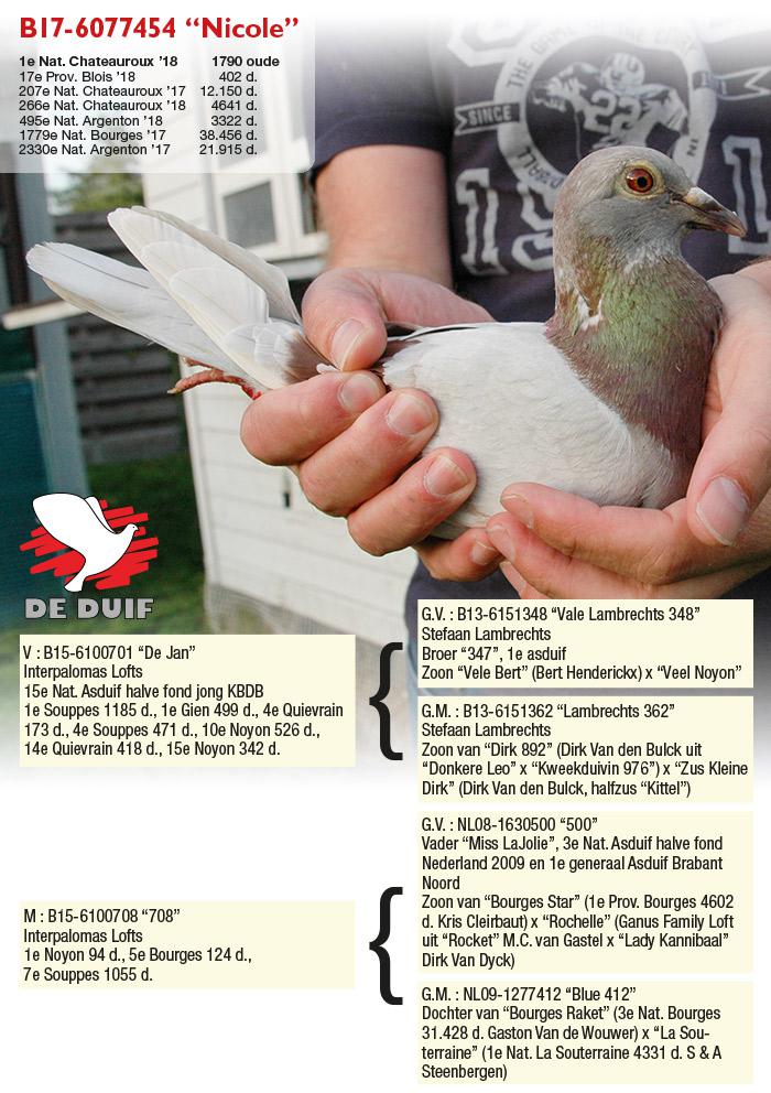 De nationale winnares B17-6077454 “Nicole”.