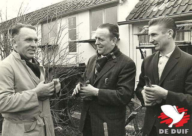 Stan Raeymakers, Georges Smedt en Jef De Wilder in een gezellig duivenonderonsje.