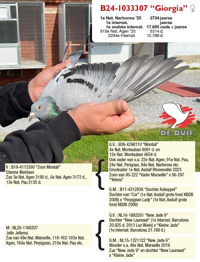 B24-1033307 “Giorgia” B24-1033307 “Giorgia”