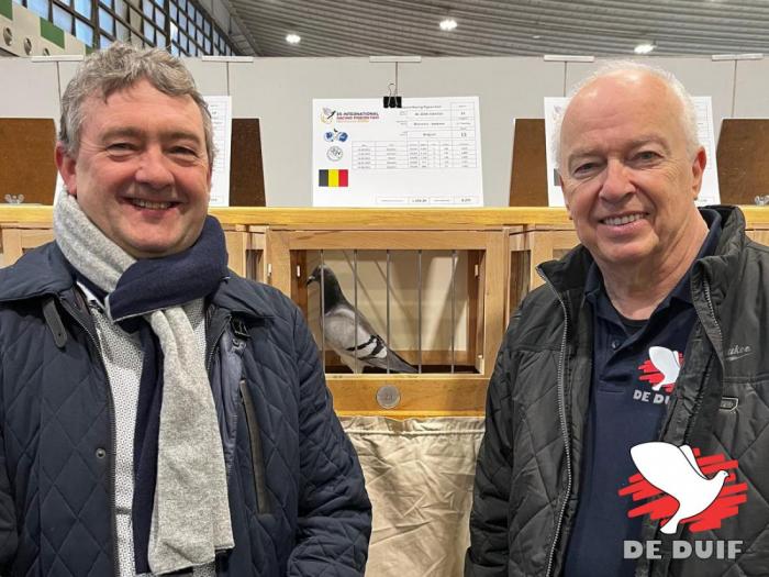 Winnaars van een Olympiadeduif! / Olympic winners!