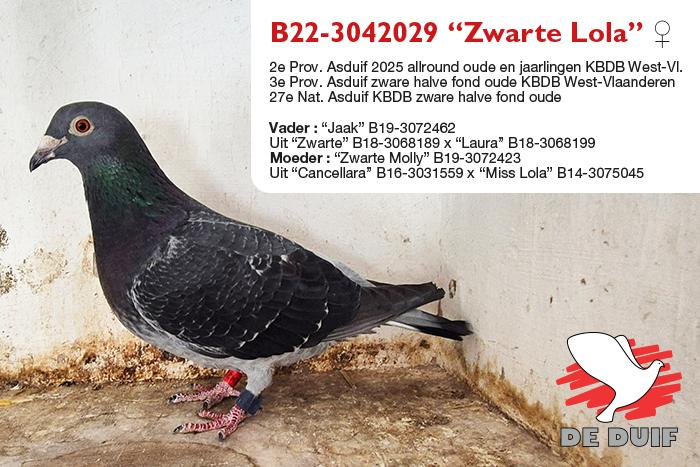B22-3042029 “Zwarte Lola”