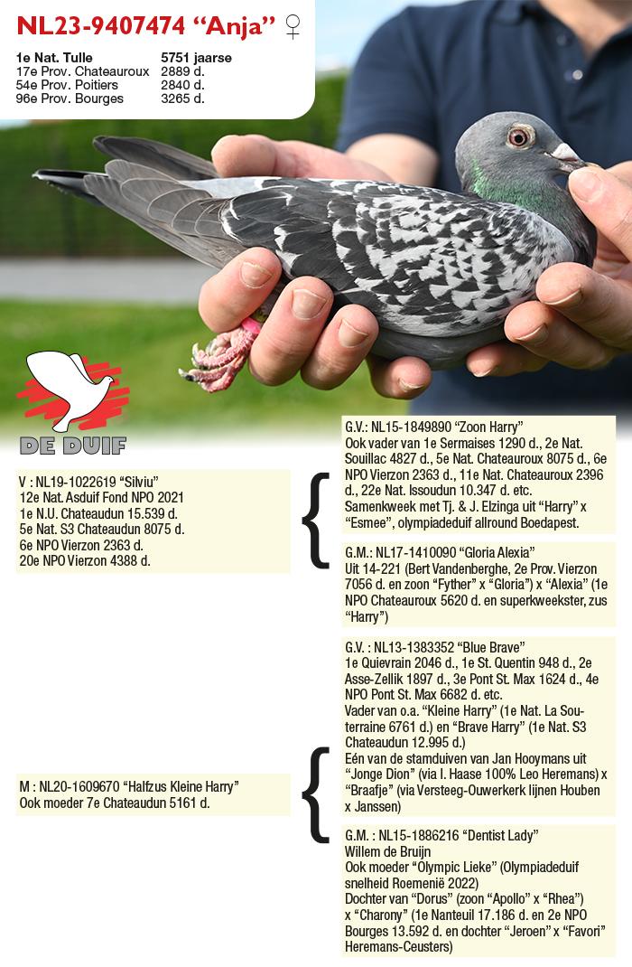 NL23-9407474 “Anja”