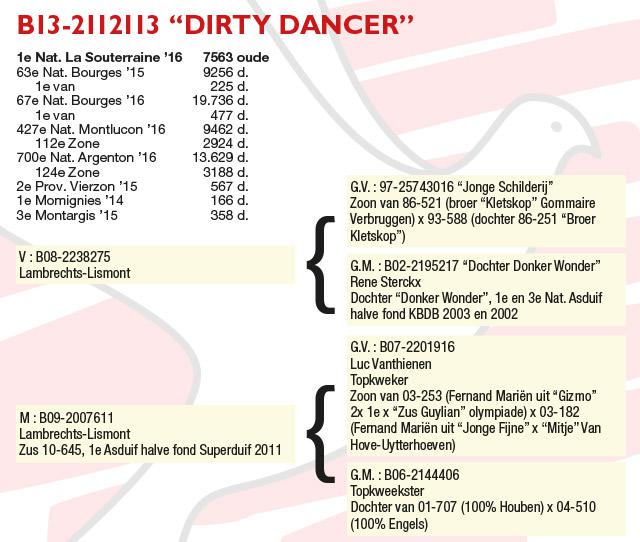 Pedigree van B13-2112113.jpg "Dirty Dancer"