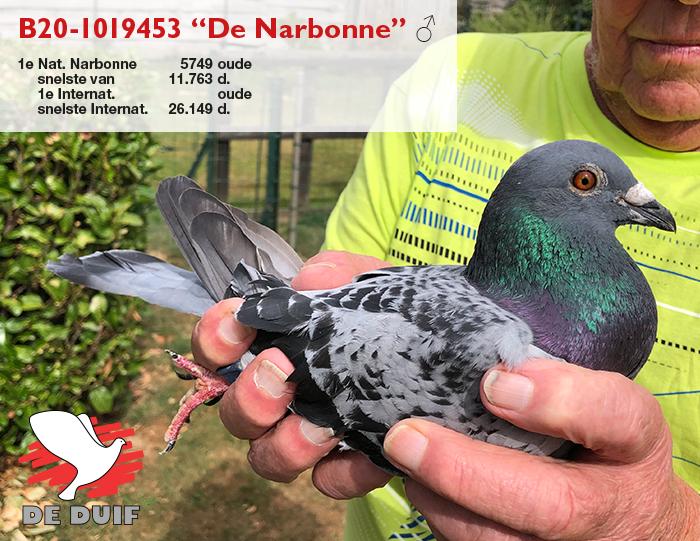 B20-1019453 “De Narbonne”