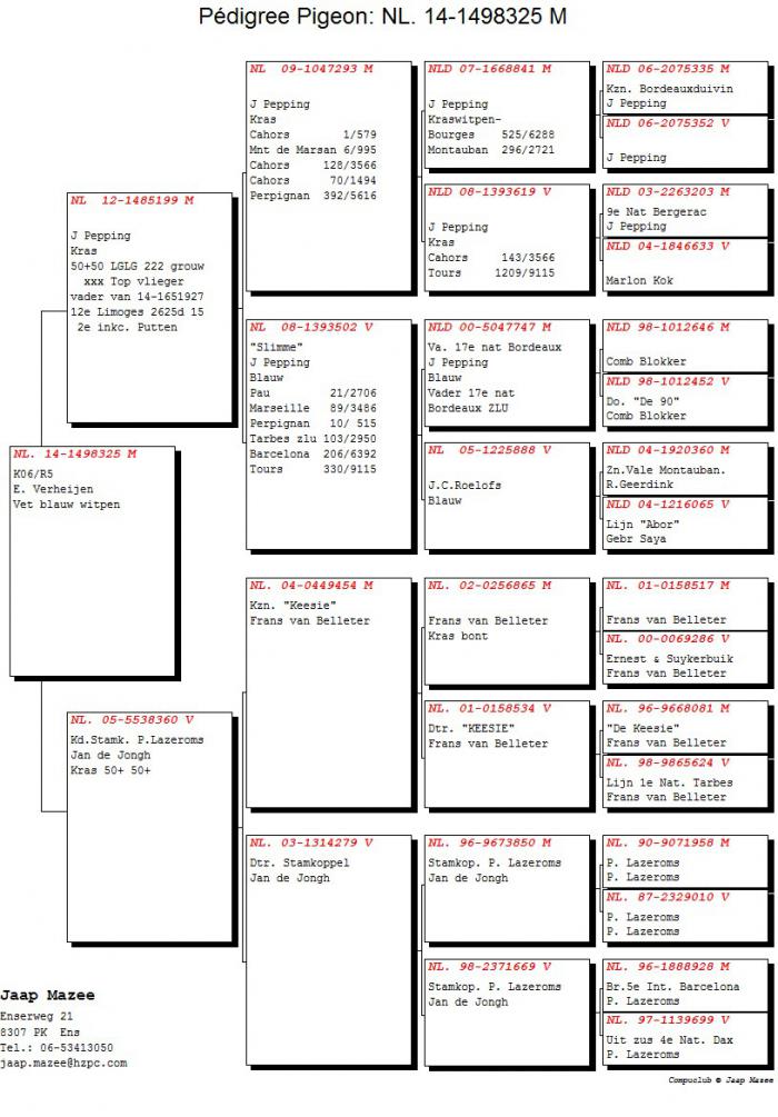 Jaap Mazee, pedigree NL14-1498325