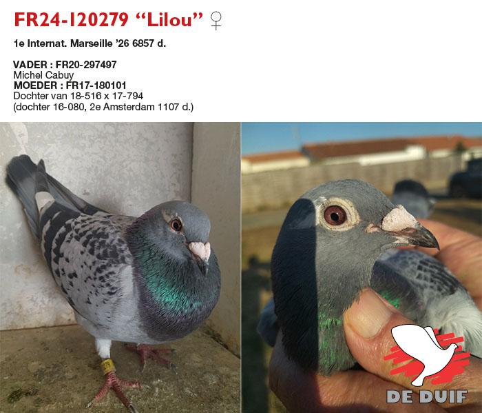 FR24-120279 “Lilou” FR24-120279 “Lilou”