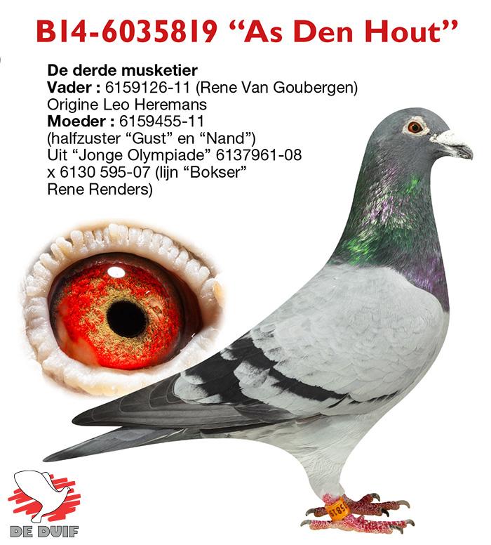 B14-6035819 “As Den Hout”