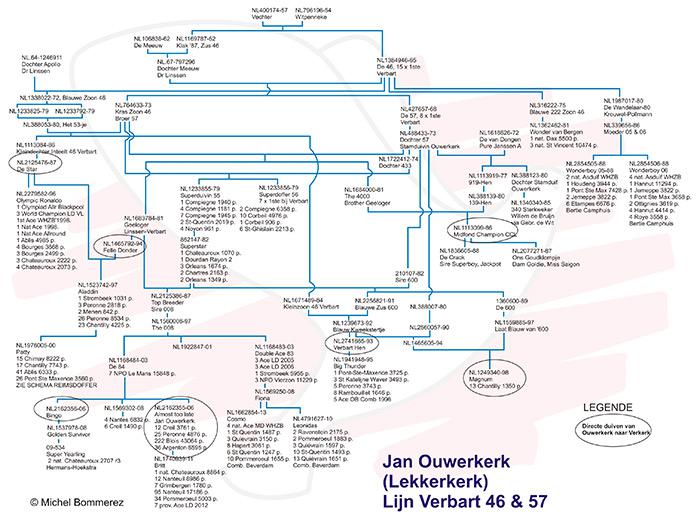 Stamschema Verkerk - Ouwerkerk - Verbart 46