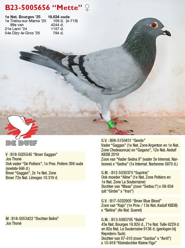 B23-5005656 “Mette”