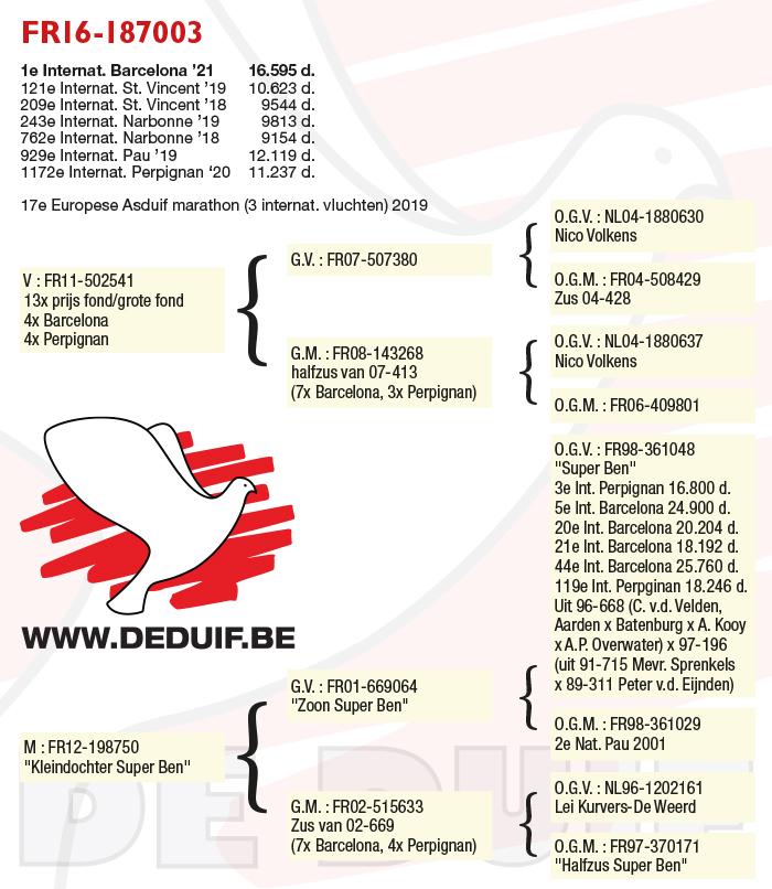 Pedigree van de winnaar Internationaal Barcelona 2021, Robert Ben.