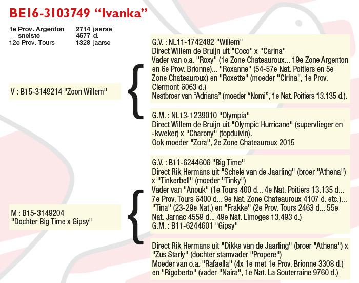 BE16-3103749 "Ivanka" BE16-3103749 "Ivanka"