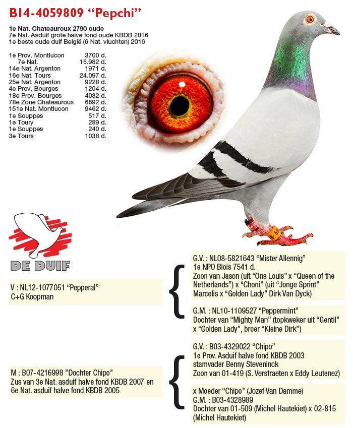 BE14-4059809 "Pepchi" BE14-4059809 "Pepchi"