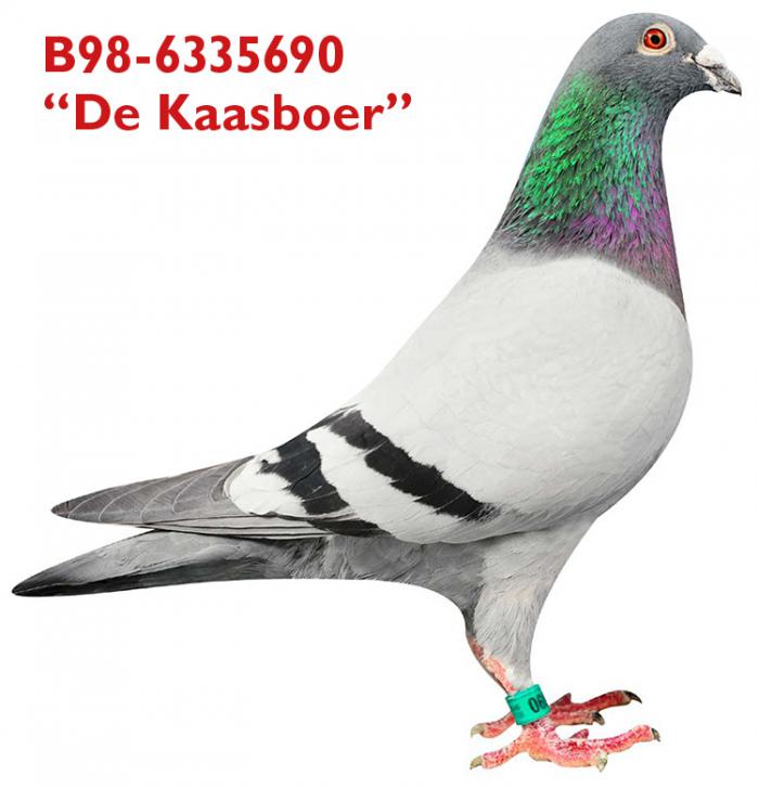 B98-6335690 “De Kaasboer”