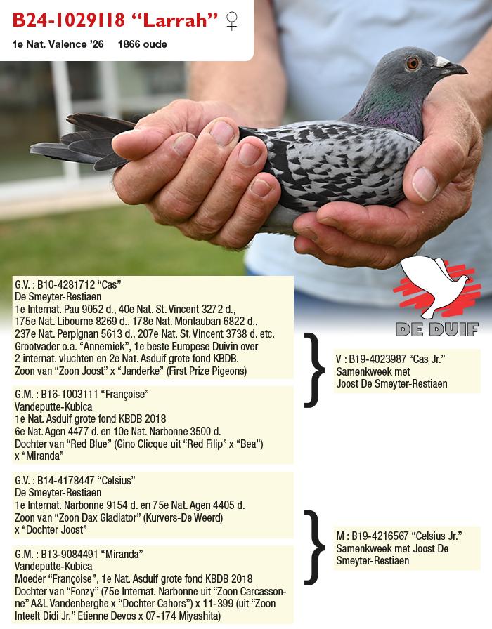 B24-1029118 “Larrah” B24-1029118 “Larrah”