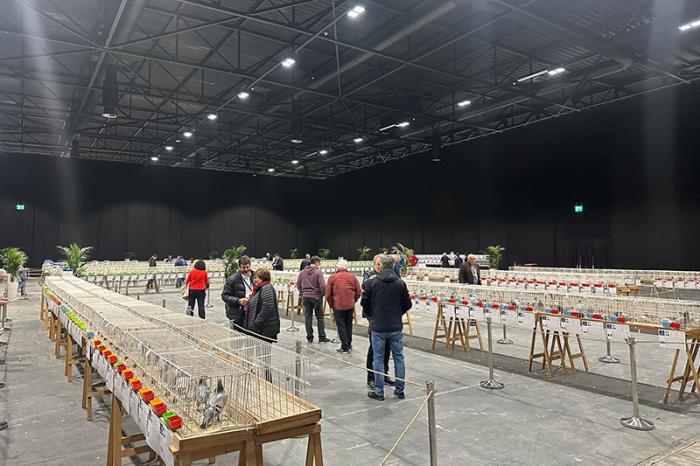 De zaal waar de Olympiadeduiven worden tentoongesteld. De zaal waar de Olympiadeduiven worden tentoongesteld.