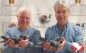 Rudy Denies en Patrick Draye behaalden met hun “Rolex” de titels van 1e Nat. Asduif kleine hafo jaarse KBDB en 1e Belgische Asduif halve fond World Best Pigeon FCI ! 