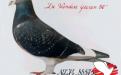 “De IJzeren 50” NL74-885750. De beroemdste zoon van het wondere kweekkoppel Lange Nek x Kweekmoedertje. Hij vloog voor de gebr. Vroomen 2e Prov. Argenton, 3e Prov. Chateauroux 1894 d., 1e Troyes 1292 d., 1e Sens 2138 d. en 1e Troyes 1091 d. Werd daarna een topkweker.