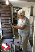 Moeder Nicole neemt de volledige verzorging van de jonge duiven voor haar rekening.