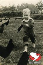 Kleine Gerard was er altijd als de kippen bij.