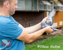 Marius showing Baraba's wing.