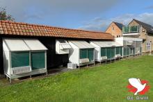 Algemeen zicht op de hokken van de vliegduiven.