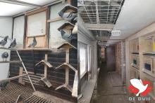 De volière en hokken van de weduwnaars.