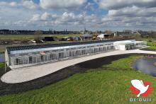 De prachtige hokken van Gerard en Bas Verkerk in Reeuwijk.