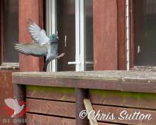 Chris capturing the "landing gear out" moment.