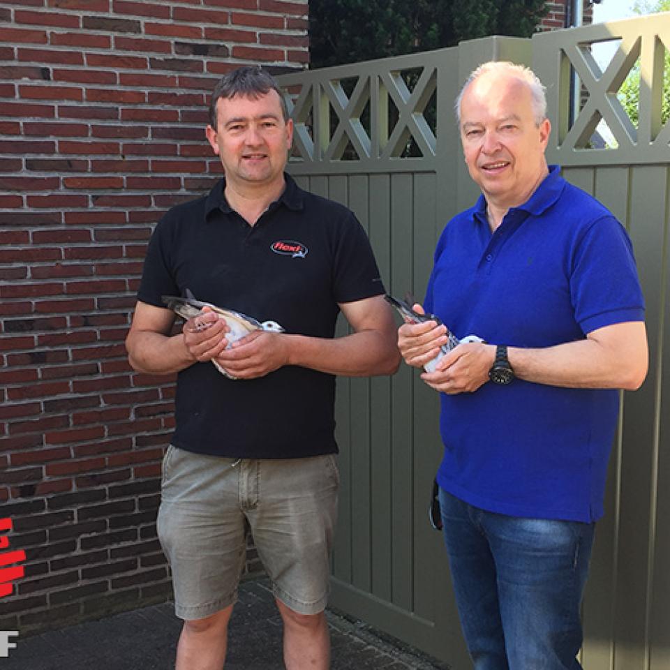 bosmans-leekens-2015-1.jpg