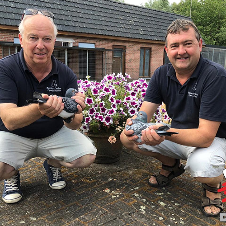 bosmans-leekens-2018a-2.jpg