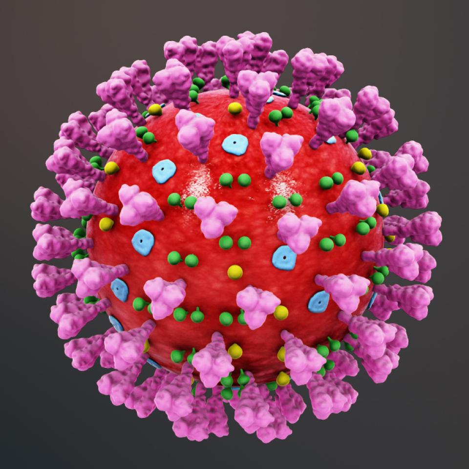 coronavirus.jpg