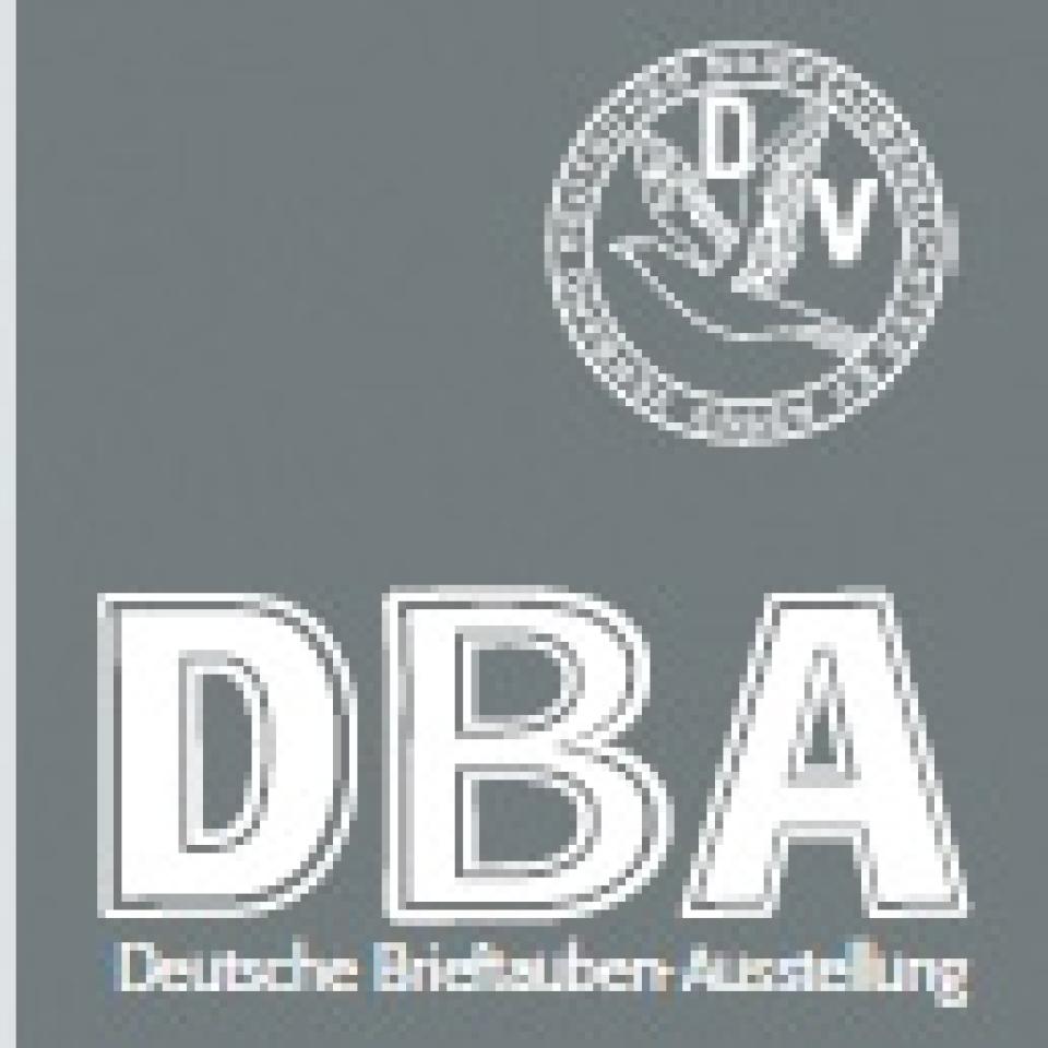 dba.jpg
