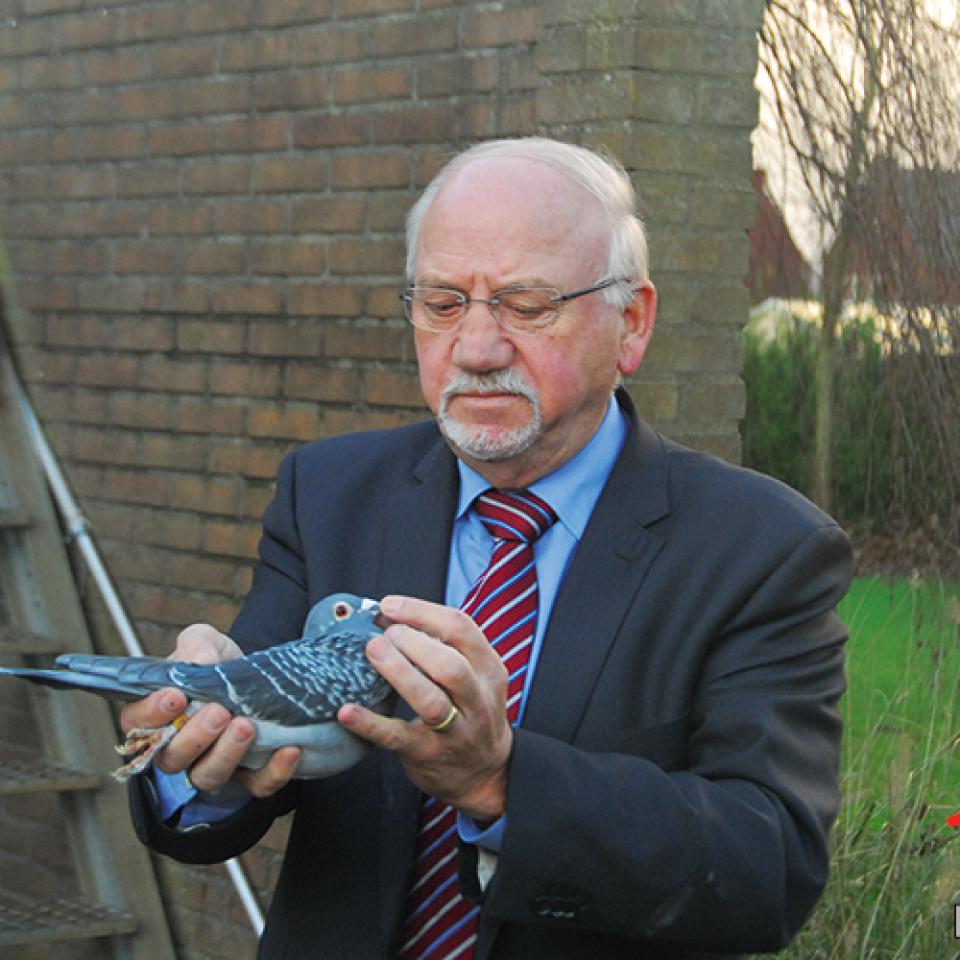 de-heijde-cor-2022-1.jpg