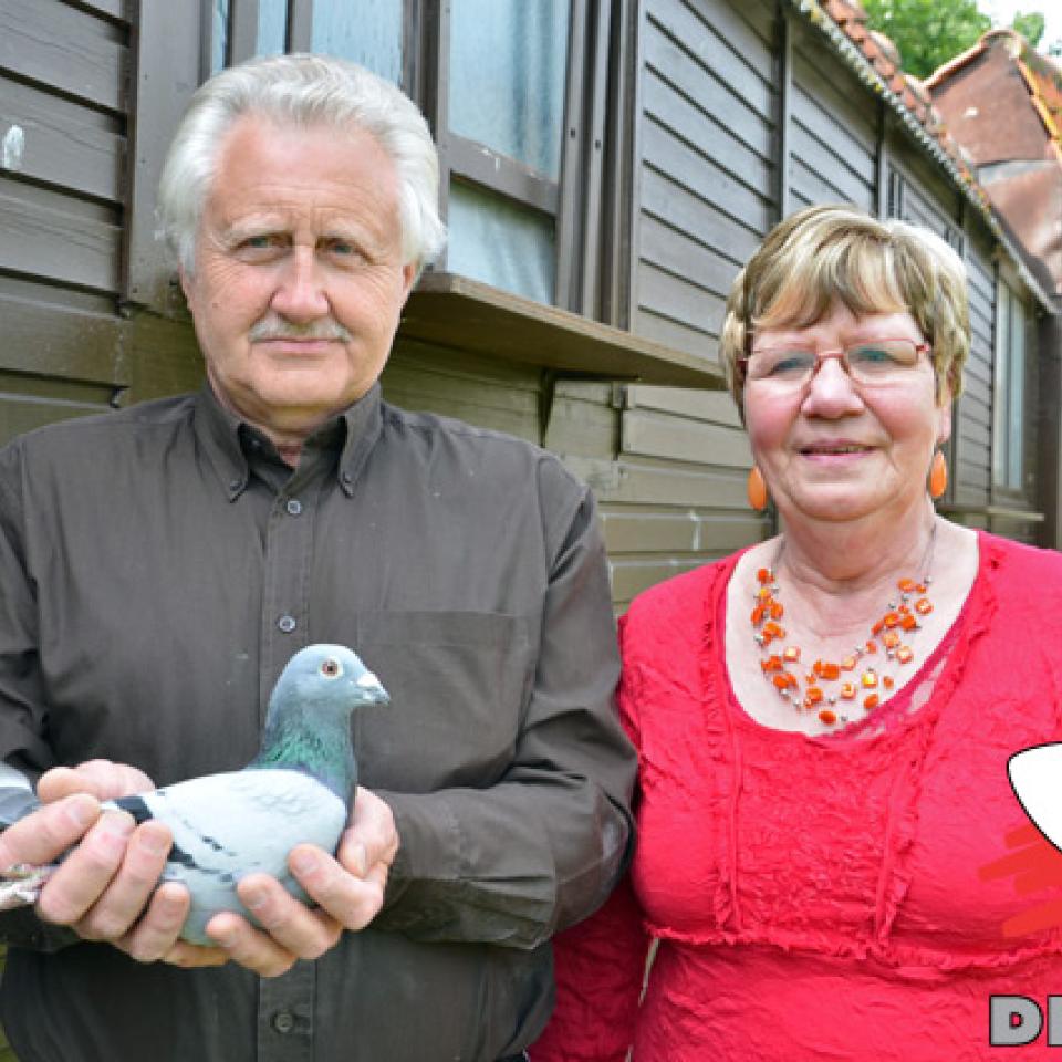 dekens-wilson-2014-1.jpg