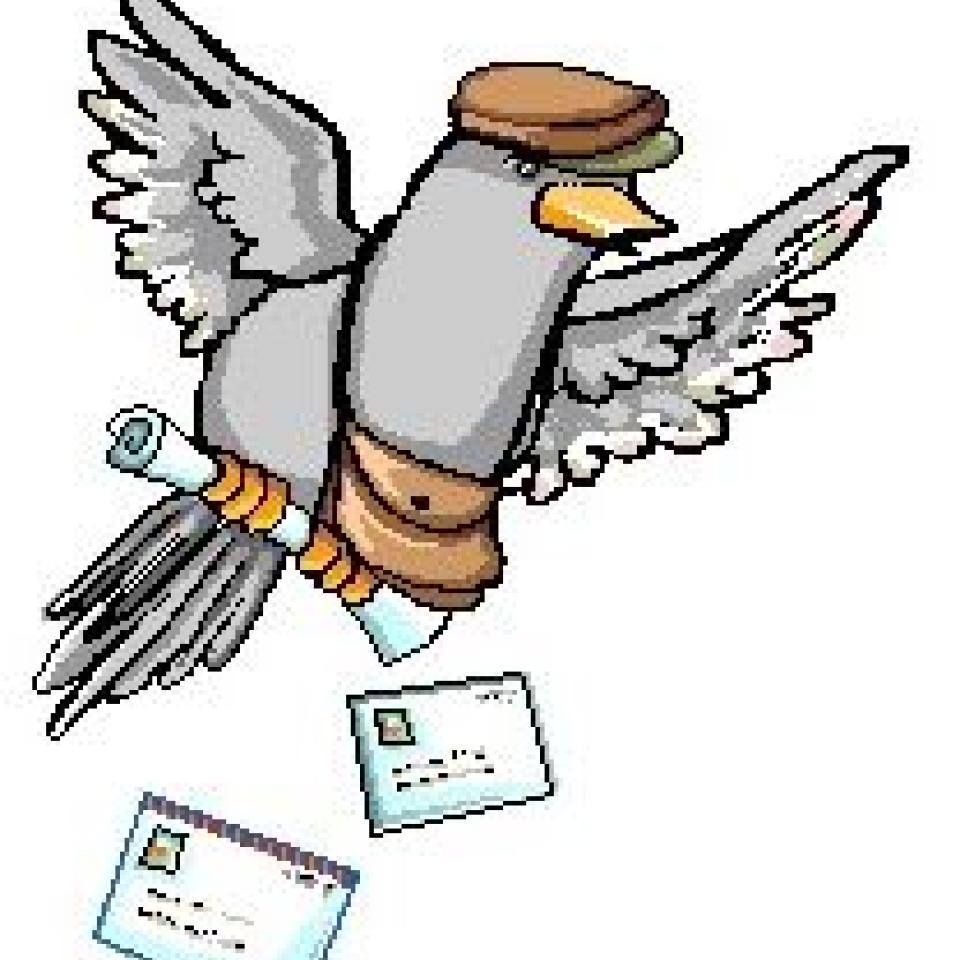 duifje-post.JPG