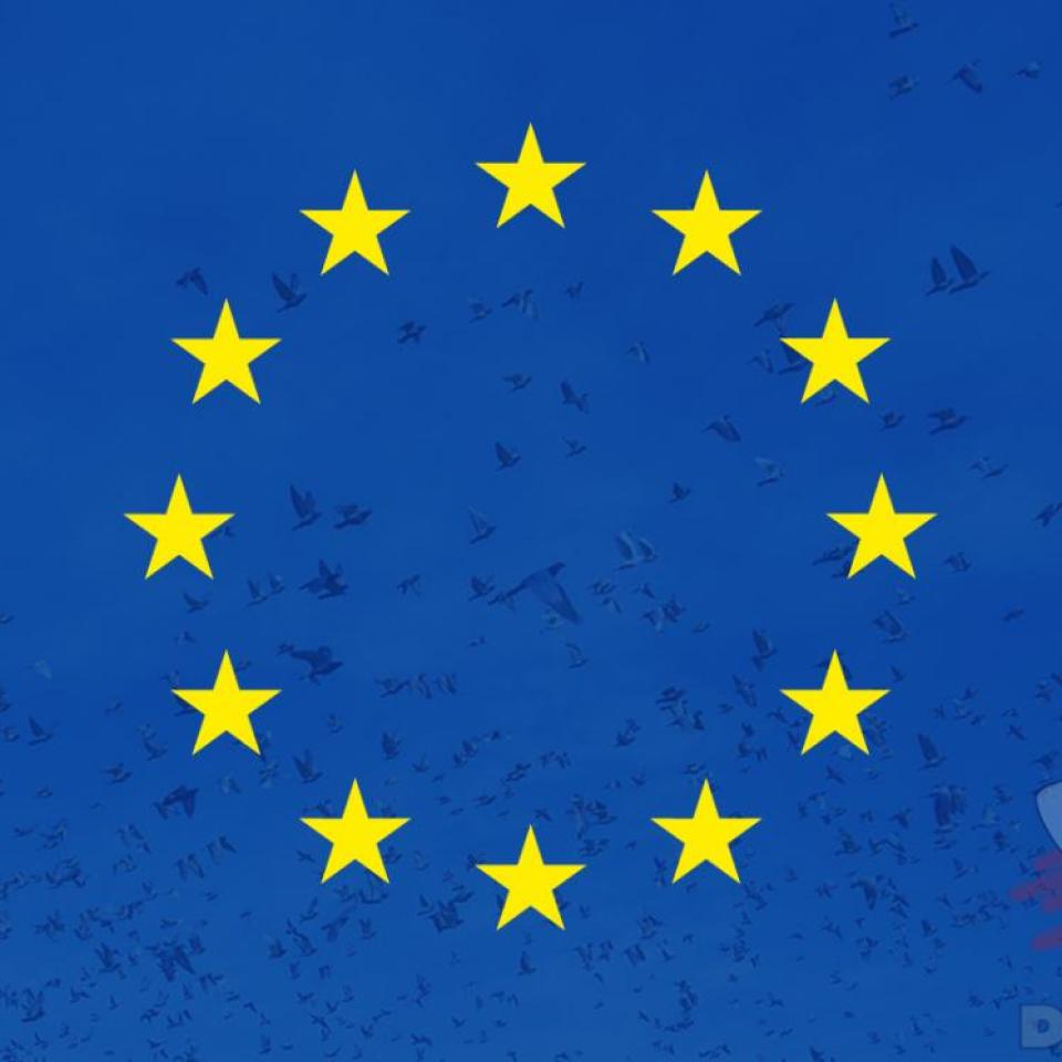 eu-regelgeving.jpg