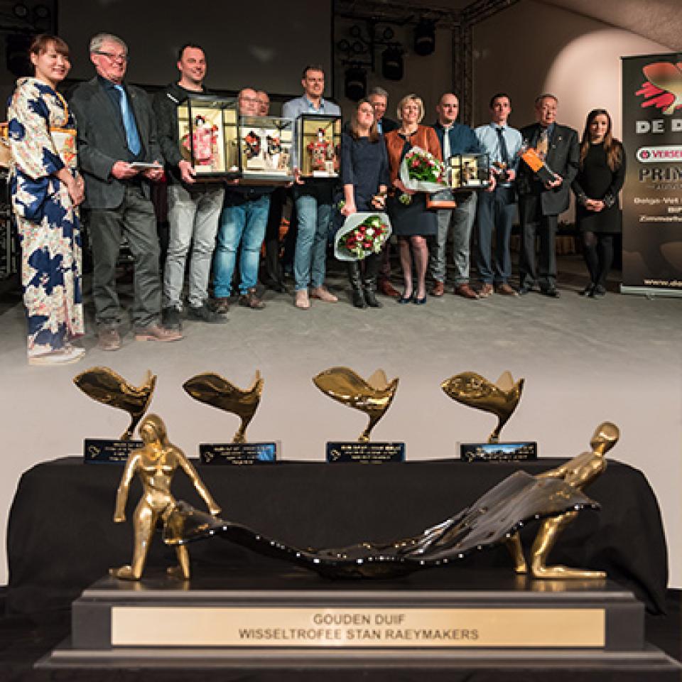 goudenduif2017.jpg