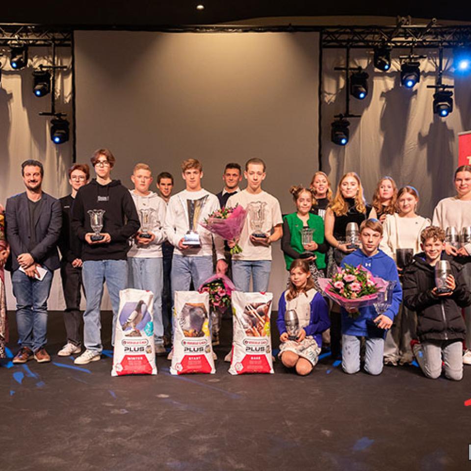goudenduifjunior-1.jpg