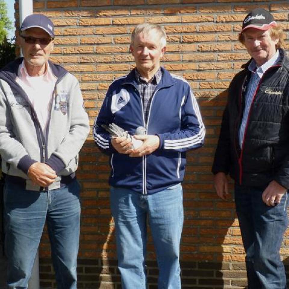 pigeonfeverschaerlaeckenswouters-marcel.jpg