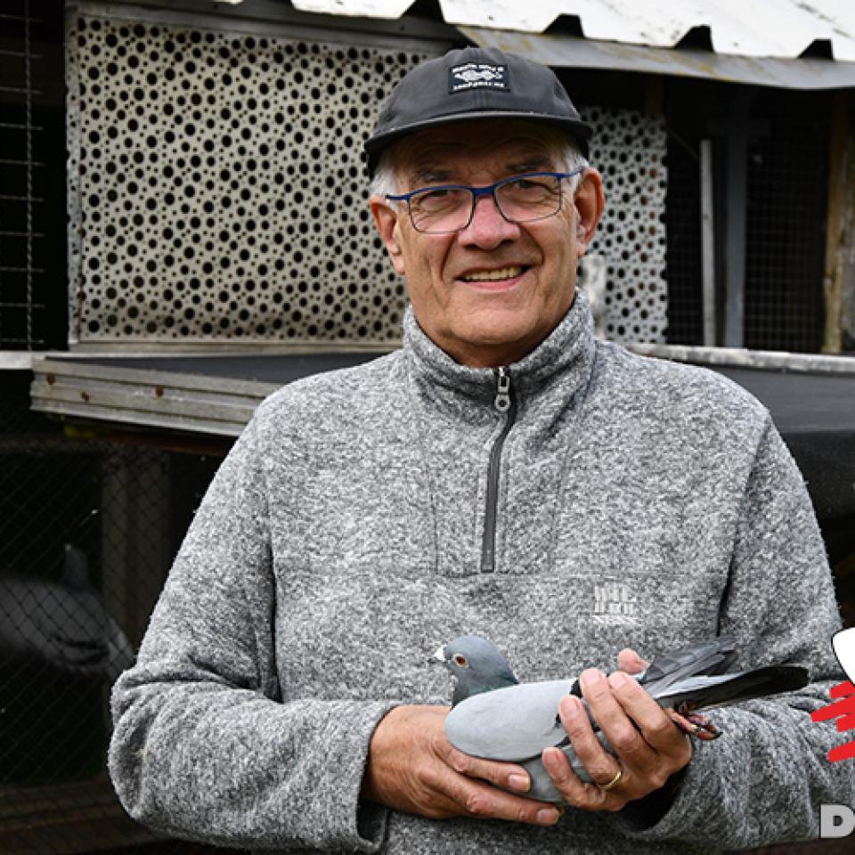 schroyen-henderix-2019-1.jpg