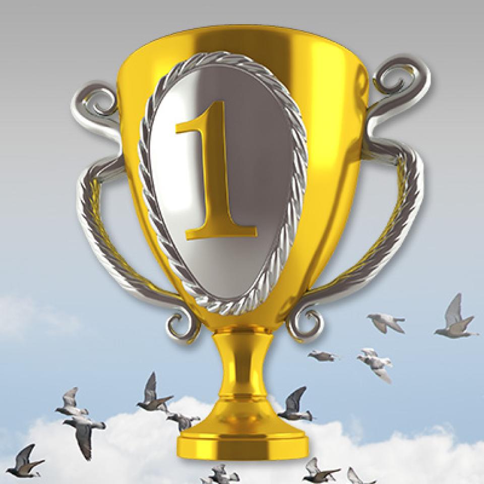 trofee.jpg