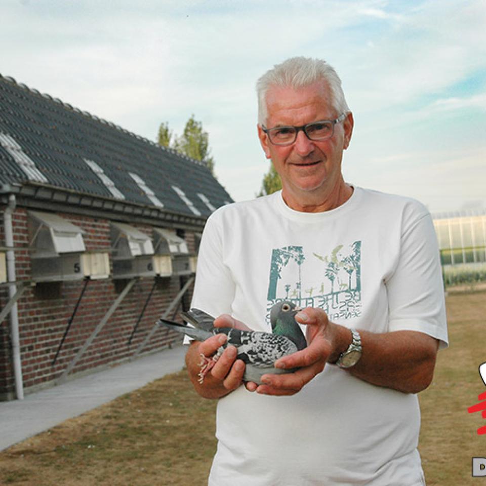 verschoot-joel-2018-1.jpg