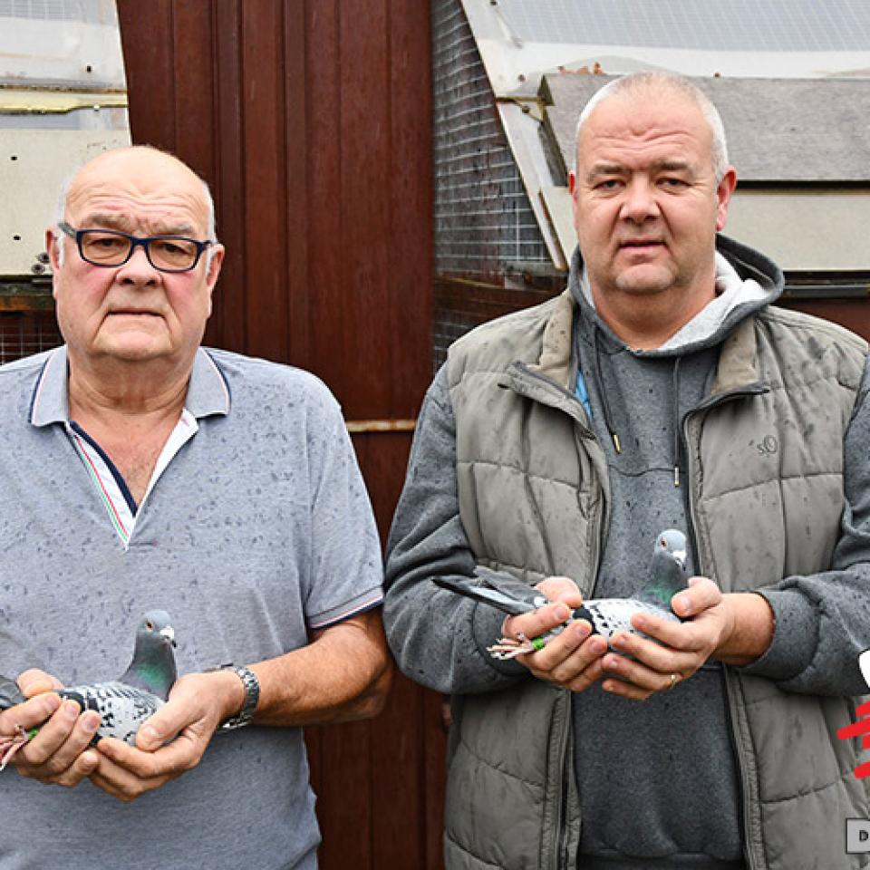 vervaeke-roger-jurgen-2018-1.jpg