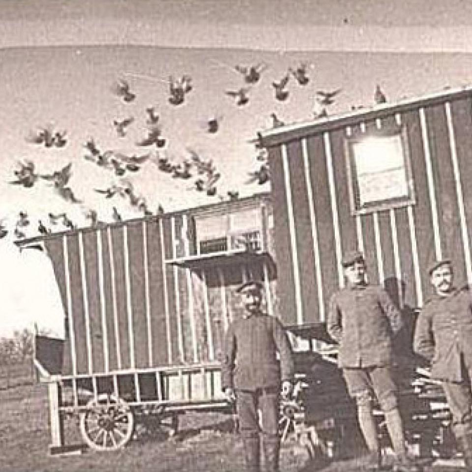 wo1-11-1.jpg