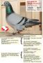 De winnaar B17-4062532 “Birdie Porsche”.