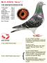 NL15-1576743 “Gene”