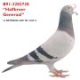 Half Broer Generaal